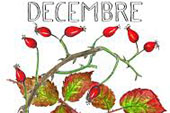 decembre4